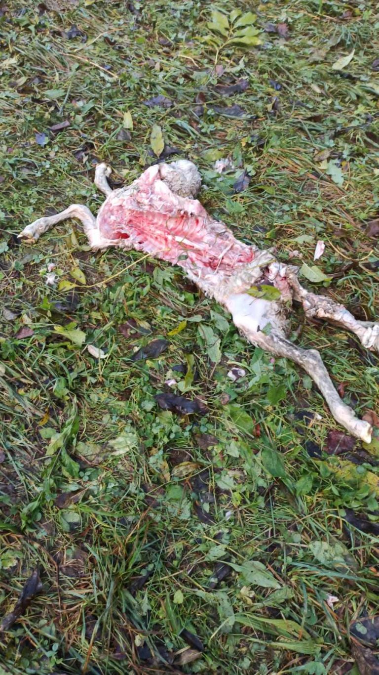 396497521_711430704189358_3099621351140144286_n