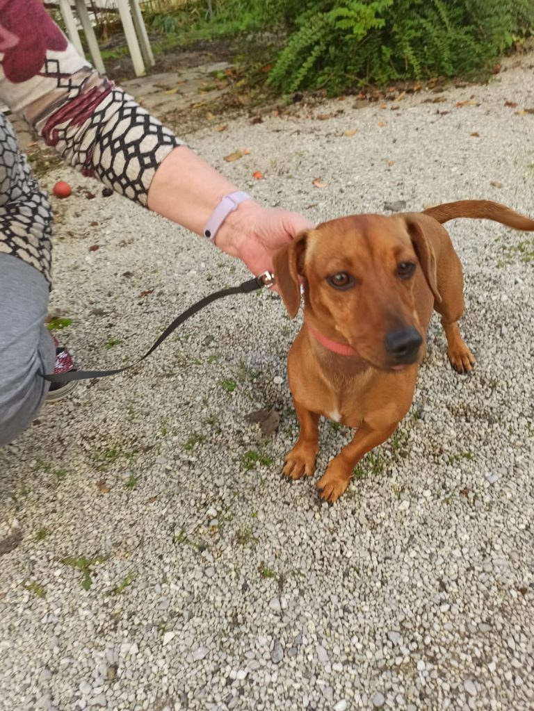 51a56553-b7f7-4b89-af2f-c7afed5f6f8a