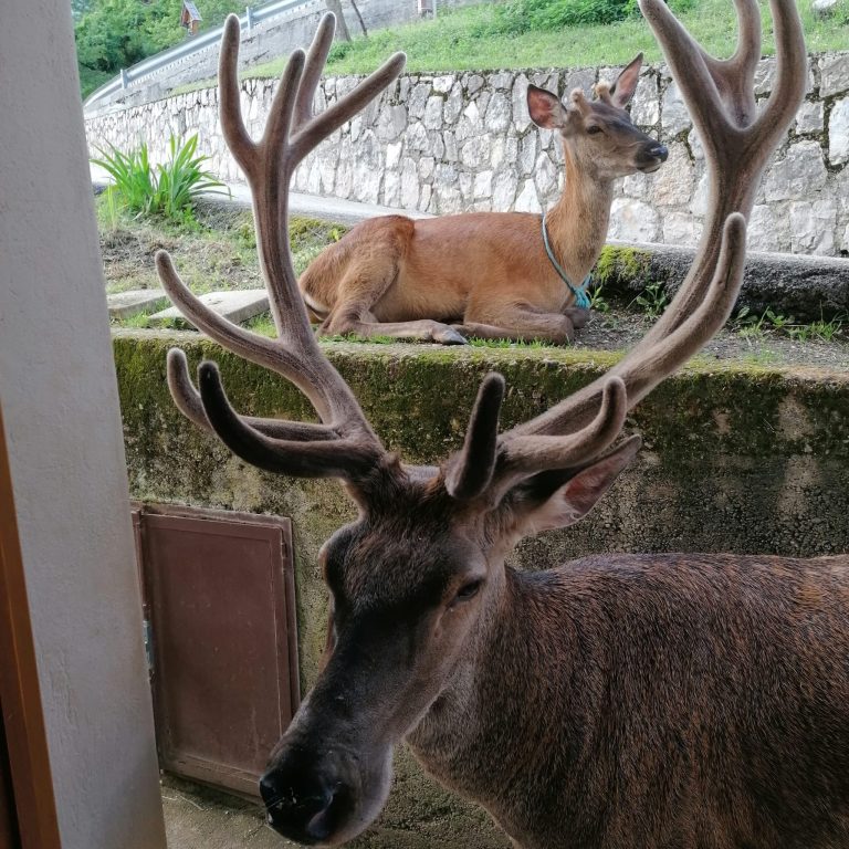 9e43c127-4692-40d4-8f18-ee10c6224ca8