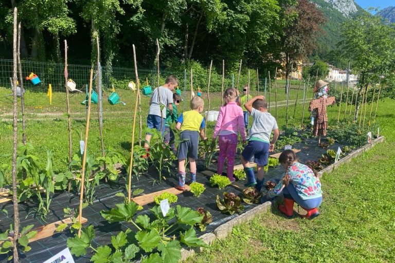Progetto orto alla primaria di Sospirolo2