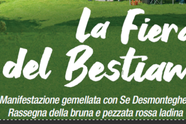 Senza nome