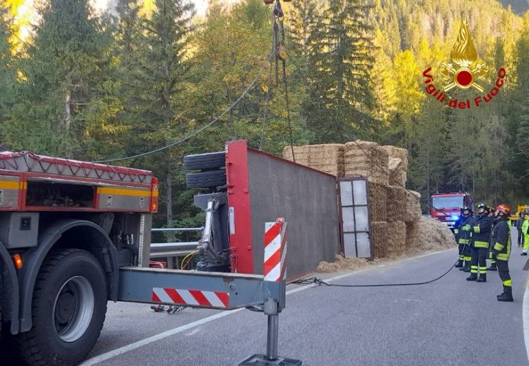 b75c0d5c-b473-40db-bca7-cfd380d9e8e3