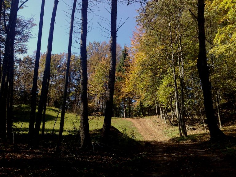 e1f7ad4b-03b9-4baf-b357-6e82c51613af