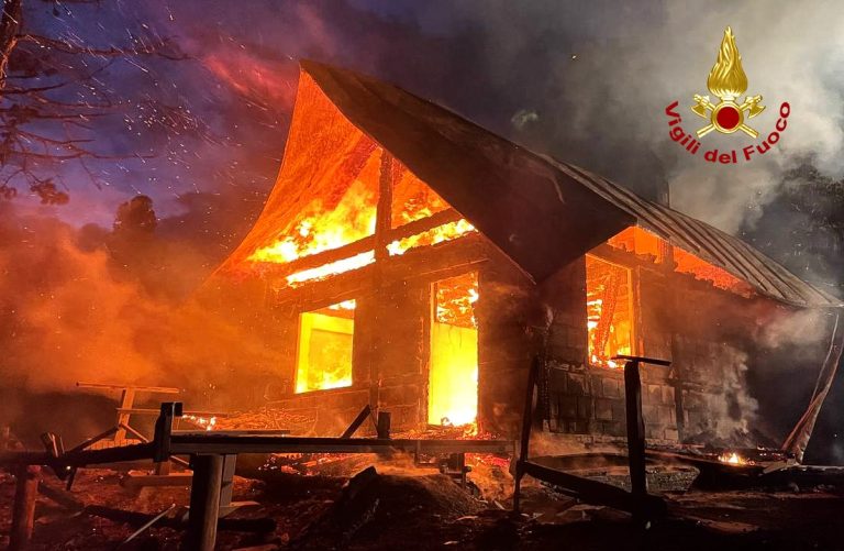 e86c221c-50e3-4786-adc5-c3294813d1e7