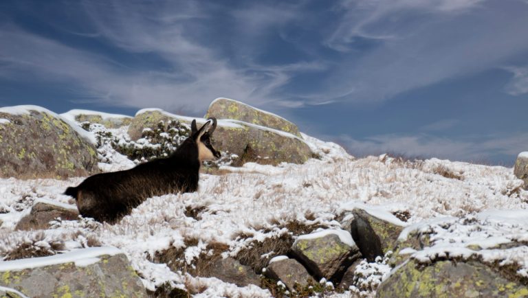 041057e8-a701-45ea-a9c1-67ff37a9a108