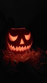 371533100_2059849904185300_8166869529637476589_n