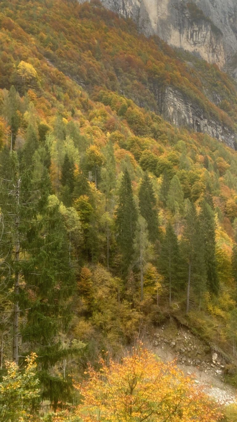 674cf1b8-a58f-4ecb-ac1a-7bd88df9052d