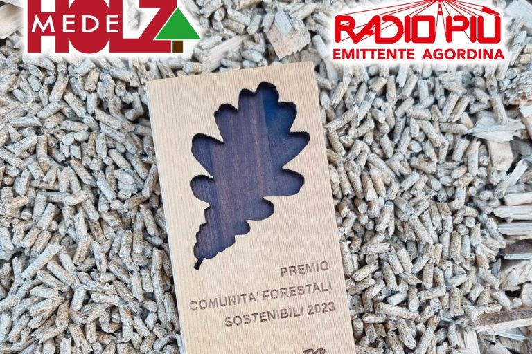 HOLDMEDE RADIOPIU