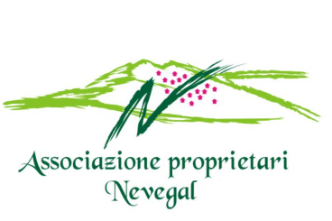 Senza nome