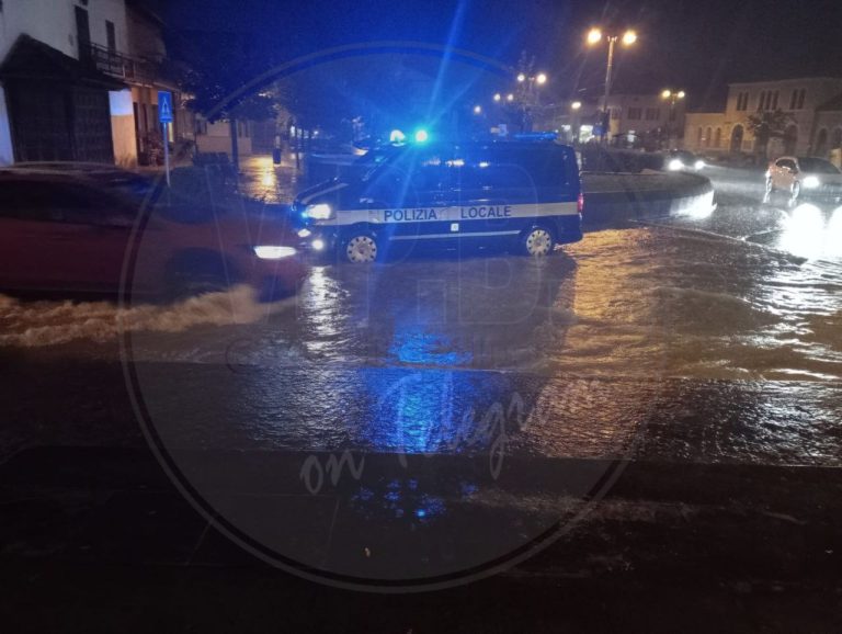 ff9a49c2-e4c4-4486-b215-fbc74bf71a50