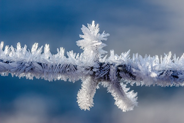 neve