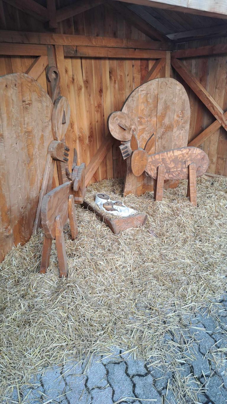 413950091_1064537994584680_304720183953734269_n