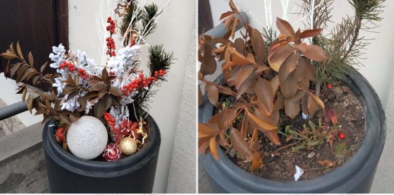 4ff06273-0c92-4c62-b0f6-bc2a897ed3ba