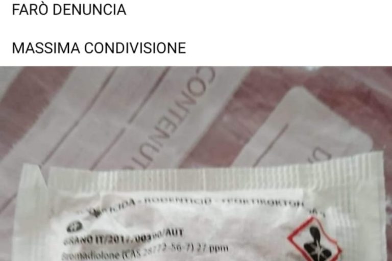 7dc1b365-7e59-4d8a-8006-cf02abfea8ca