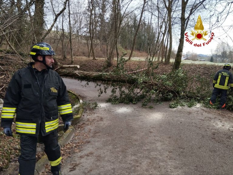 8a3e603c-41e7-4761-bc3b-f4921f19b356