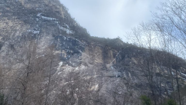 c454a9ee-d196-477d-81ff-a2cc268183ea