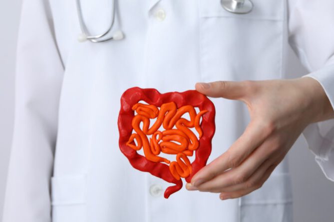 Concept of health care and internal organs – intestines