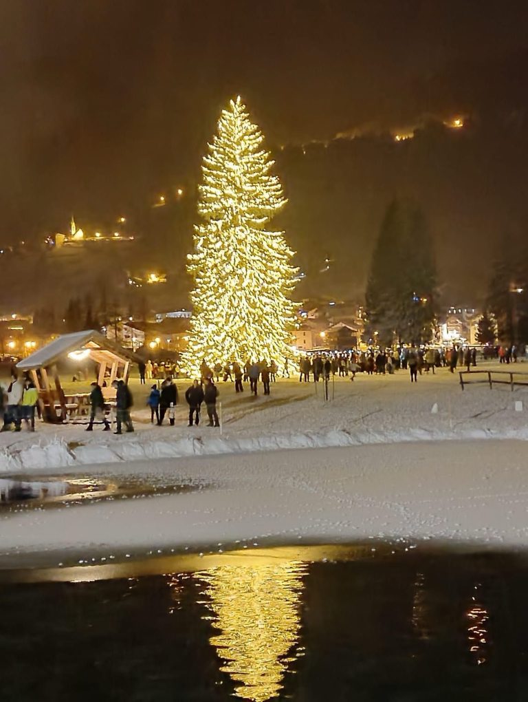 d552e380-5b6f-40c2-b72d-aa1a6e826a28