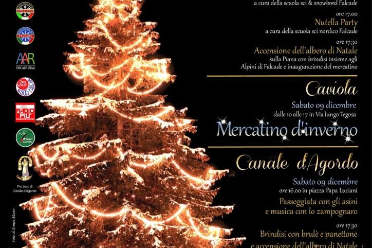 emozioni albero falcade