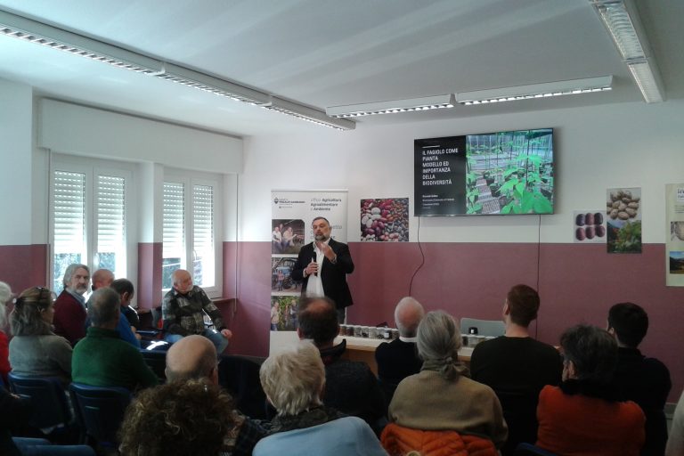 Intervento del senatore Luca De Carlo