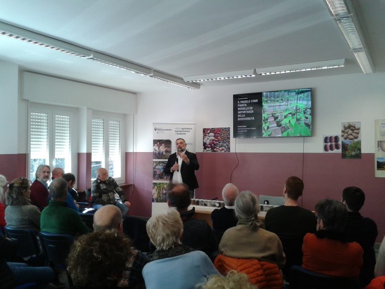 Intervento del senatore Luca De Carlo