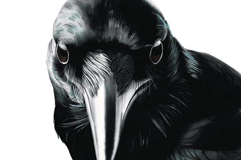 p_mumford_final_single