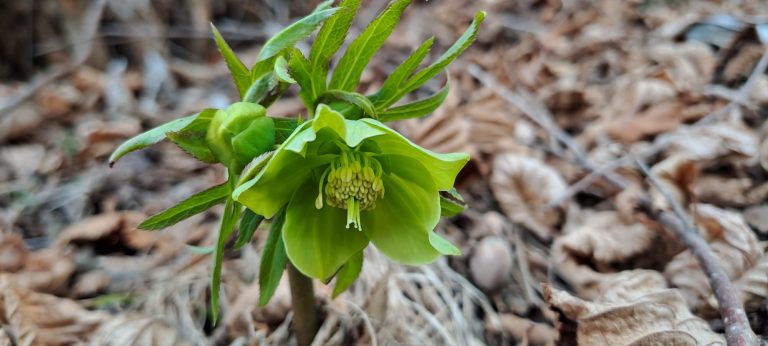 0b770f84-363d-4876-9718-d46ffd3fec3e