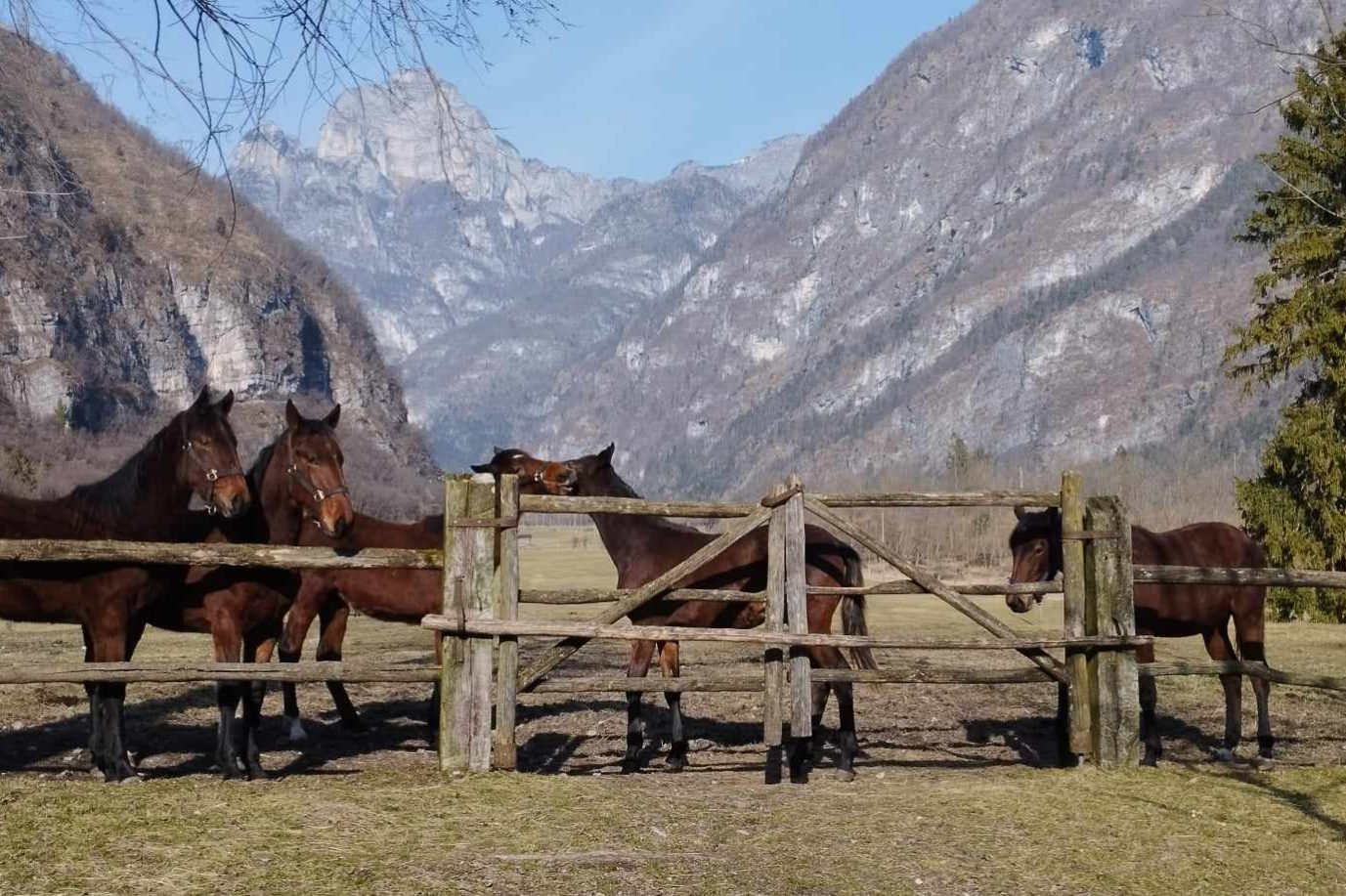 429091707_1344545616213639_981426972761742490_n