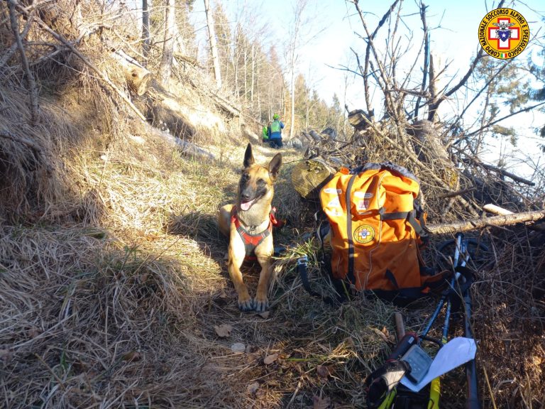 Watermark_20240216_183018_537