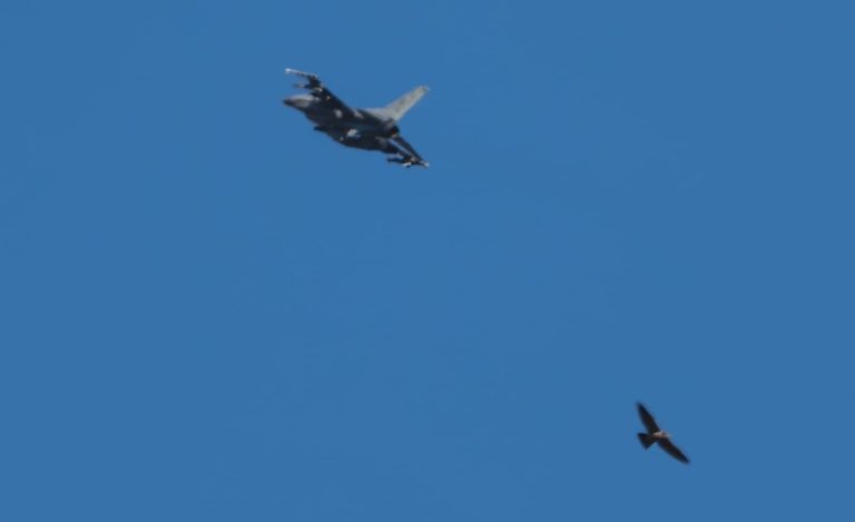 b6b968c8-1c51-4fde-a664-4cd89d5fcb4b