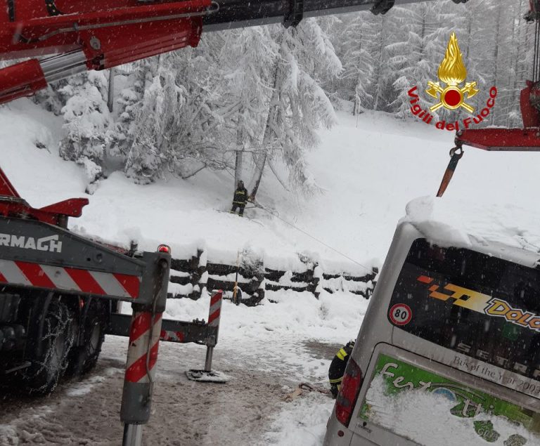 bc89d7e9-e2ab-4314-b1b7-ed555a41950e