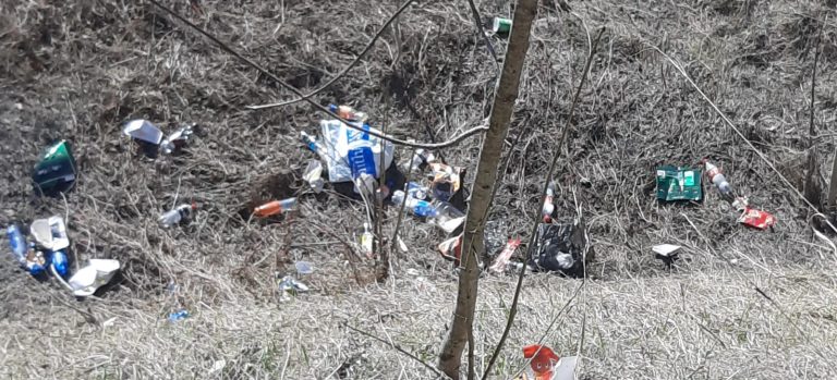 f0d20226-417d-481a-9fac-03d36f9f684b