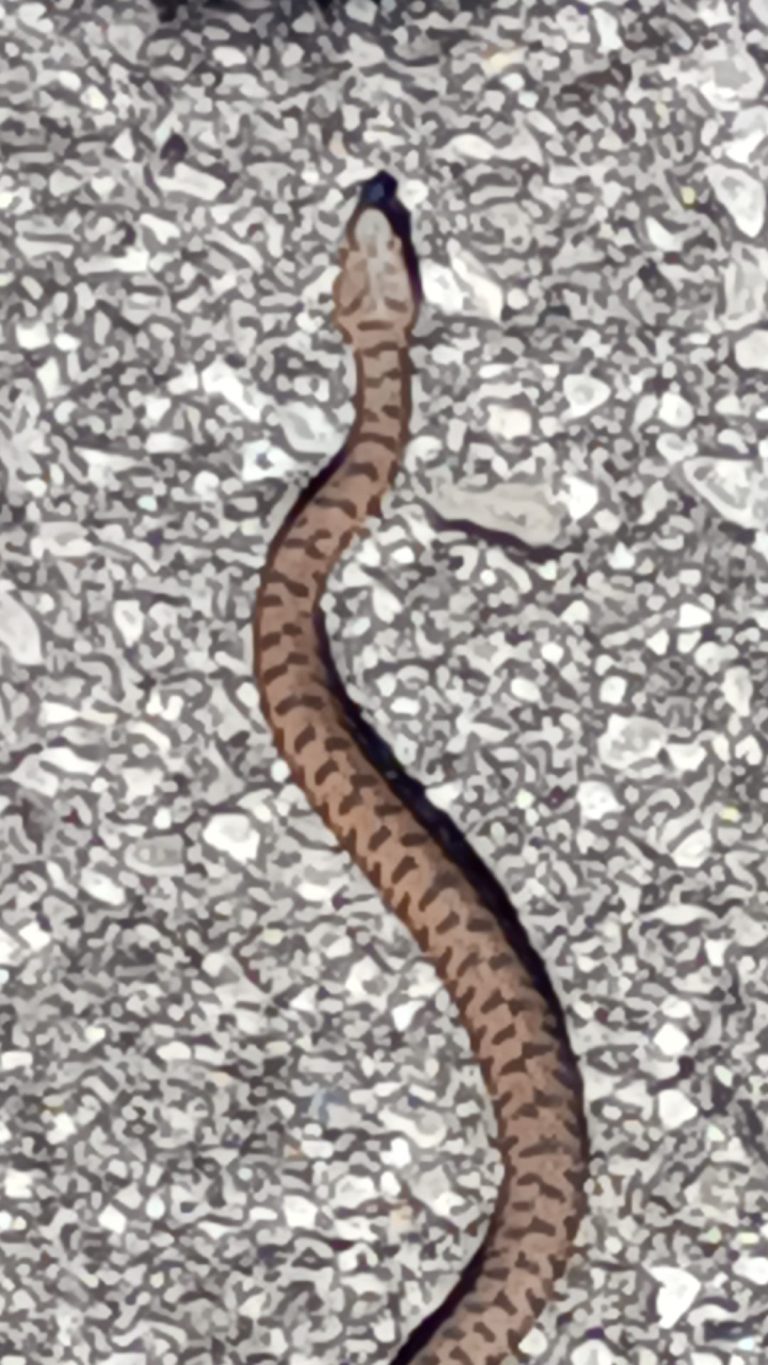 171571c4-1ccc-4d1a-a521-bf18720be005