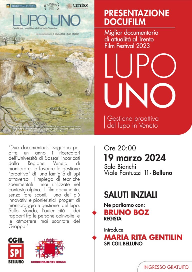 701a0116-6185-4f8f-8876-bc1ea0743665