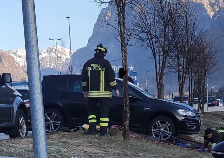 WhatsApp Image 2024-03-05 at 08.21.52