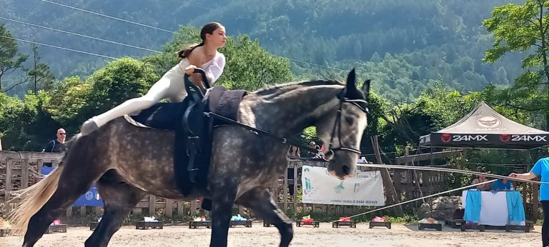 c633bdbc-ef9c-4c02-a4a7-aac66977f8f4