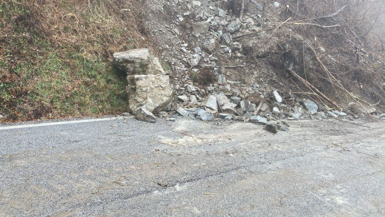 e982c225-5d67-48f8-91f0-b8adca32b515