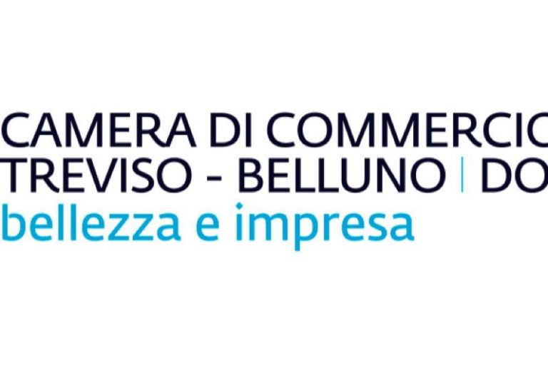 camera commercio nuovo