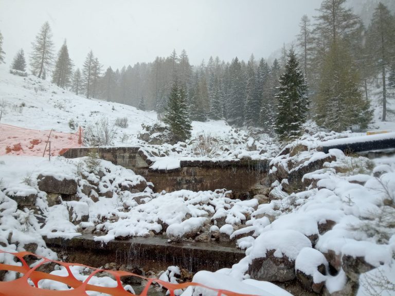 04e94c55-b7d0-40b5-86d3-0550e1866bb2