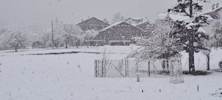 050db5d0-64be-4af7-8b1a-166b46e4db85