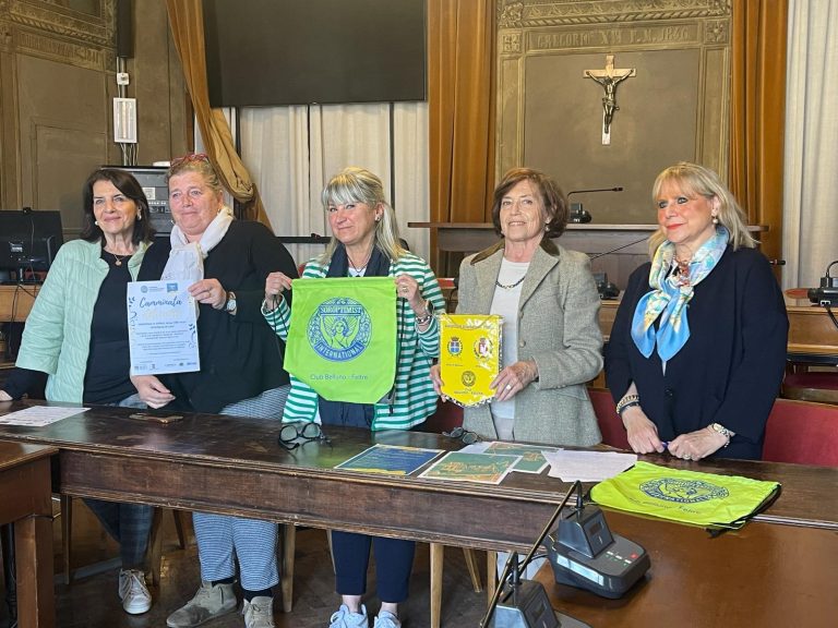 0fc6ab24-c9fa-4f0c-8b5d-91c5dd9b3a8e