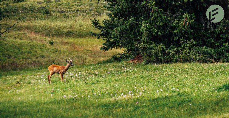 12_Convegno_Climate change e natura