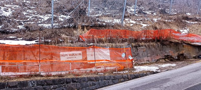 IMG_20240303_174535 (FILEminimizer)