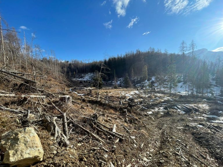 Lac Torond e bosco del Poi dopo Vaia 2