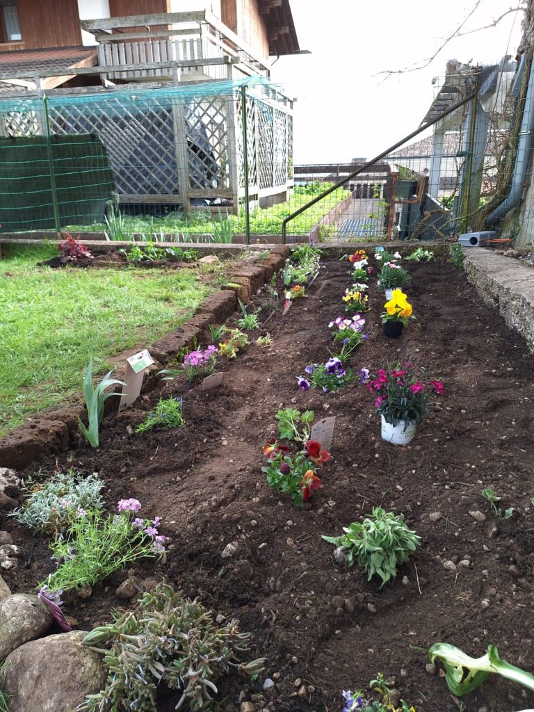 PHOTO-2024-04-10-12-34-30 (8)