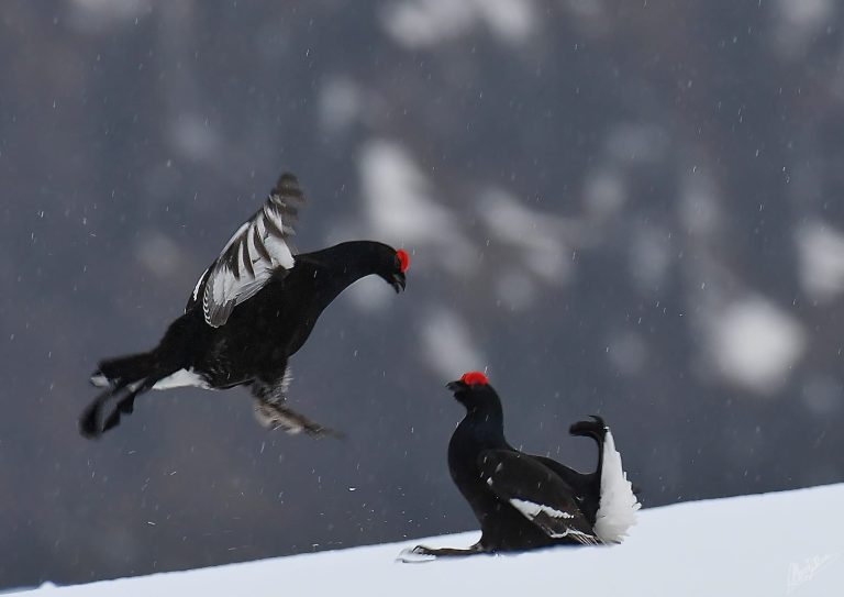 af5f6334-b297-48eb-b41b-9dc67824eb98