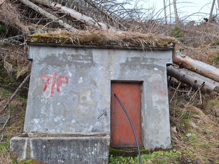 b69d76e7-c638-41e3-8140-bcc0269c0b0b