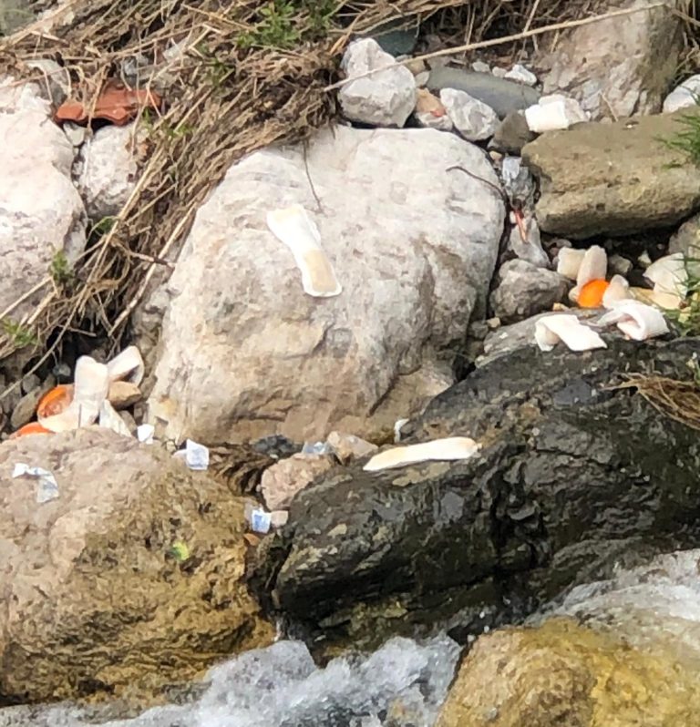 bc4da177-87dd-440d-a241-cfae6e823760