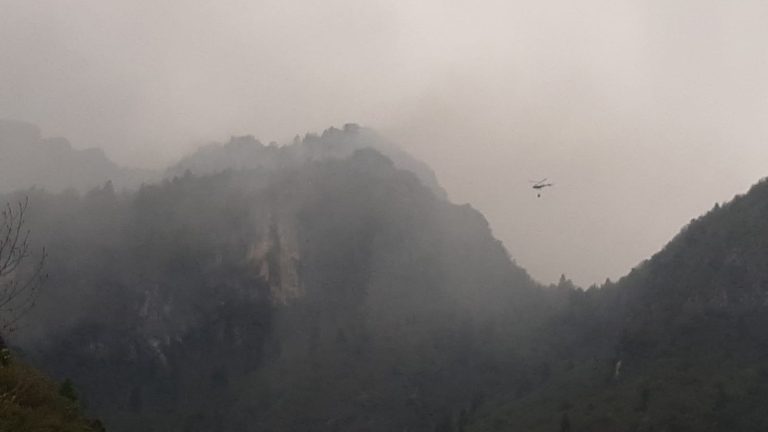 c7534890-bc09-4e43-a236-87aca6be358b