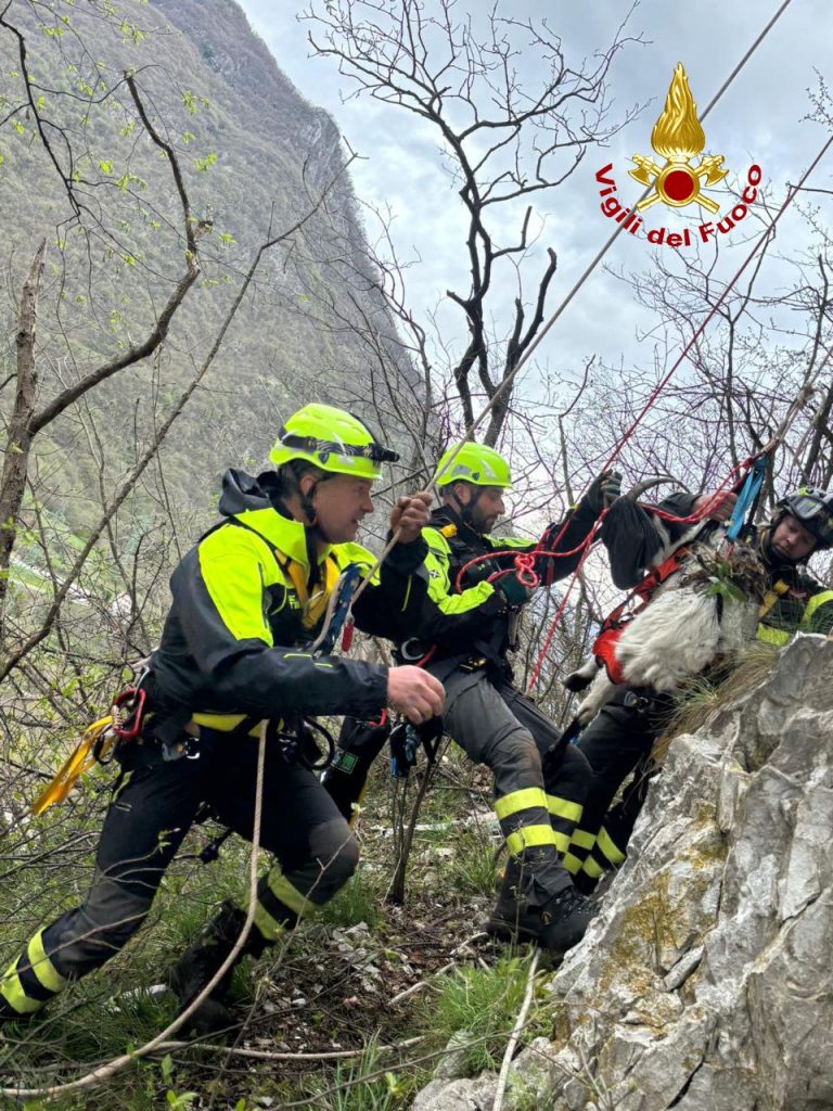 da787b06-0fb9-4914-9594-e69e74058626